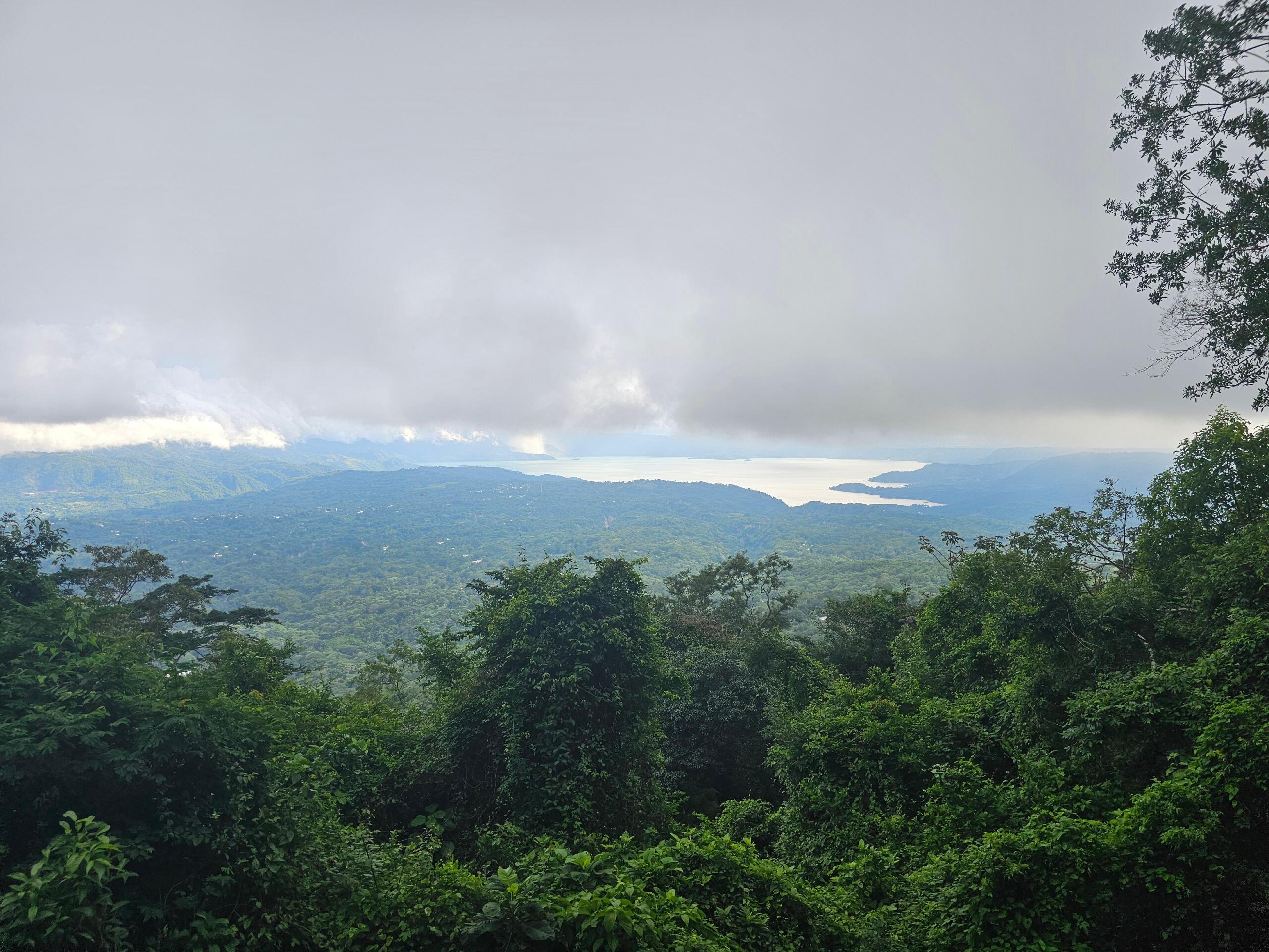 El Espino forest
